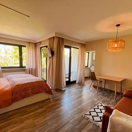 Ahrtal Bad Bodendorf Appartement